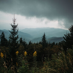 Wall Mural - sunset in the mountains