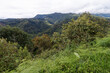 Andyjska dolina w centralnej Kolumbii