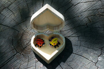 Wall Mural - Two ladybugs made of plasticine on a wooden box in the form of a heart.