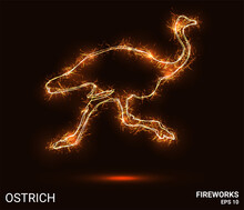 Ostrich Fireworks. The Ostrich Consists Of Sparks And Fire. Festive Bright Fireworks. Decorative Element For Celebrations And Holidays. Vector Illustration.
