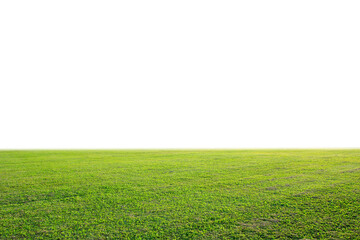 Canvas Print - fresh green grass lawn isolated on white background