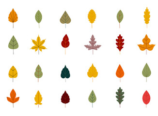 Wall Mural - Collection beautiful colorful autumn leaves isolated on white background. Simple cartoon flat style. Autumn leaves of maple, oak, birch. Floral design element.