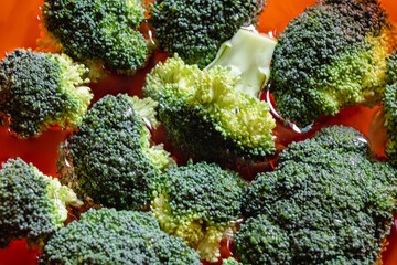 Healthy green organic broccoli florets immersed in water in an orange color bowl. Healthy lifestyle with healthcare food. 