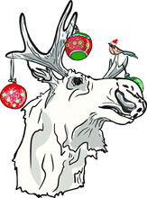 Isolated Vector Illustration Of A Moose With Christmas Toys And A Bird On The Horns Isolated On A White Background. For Printing On A T-shirt. Cups, Stickers, Bed, Holiday Cards, Wrapping Paper, Color