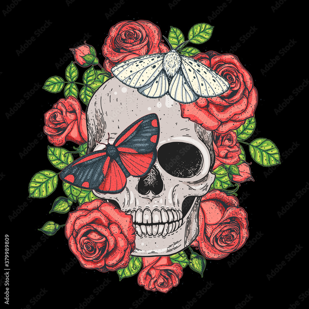 butterfly on a rose drawing