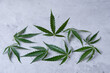 © Elena Dobreykina - cannabis leaf background