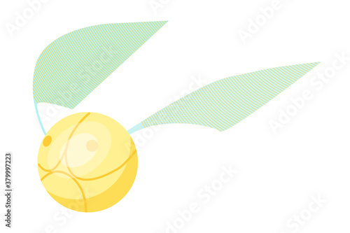 Fotomural Golden snitch isolated on white background
