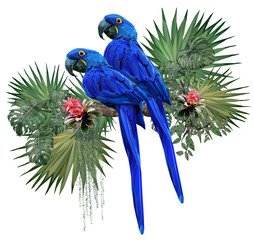 Wall Mural - Vector Polygonal illustrate of Hyacinth macaw bird.