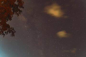 blue dark night sky with many stars trees.phuket thailand. milkyway cosmos background.