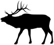 Vector illustration of a silhouette of a standing, bugling bull elk against a white background.