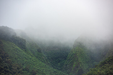  Misty Fog covering the mountain slope, Fall/Winter Image