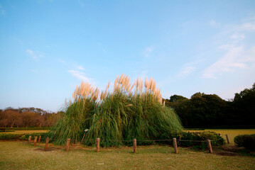 神代植物公園（東京都調布市）