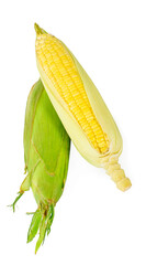 Wall Mural - Corn isolated on white background