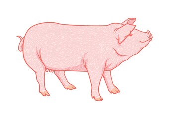 Poster - Pig