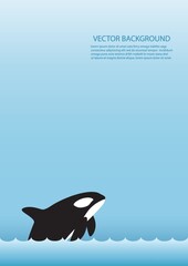 Wall Mural - Orca background design