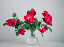 Vintage Red Roses In Small Glass Vase