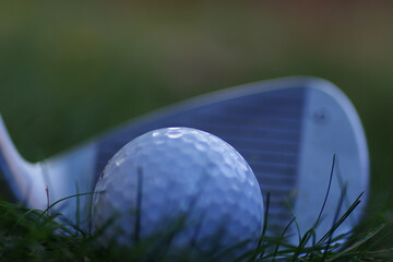 Sticker - Selective focus shot of golf stick and ball on green grass