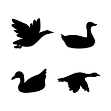 Set Of Isolated On White Background Waterfowls. Abstract Black Silhouettes Of Flying Wild Migratory Birds - Duck, Geese, Dove For Icons, Logos Or Printing On Any Surface.