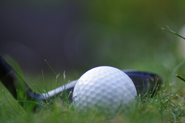 Poster - Selective focus shot of golf stick and ball on green grass