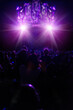 © HEX./Stocksy - Crowded Stadium During Concert