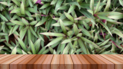 Wall Mural - water drop on green grass and wooden table for product display