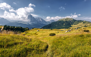 Fototapete - Wonderful view on countryside in alps with fresh grass on highmountain pasture. Stunning nature scenery in summer. amazing rural landscape with mountains and perfect sky. summer mountain scenery.