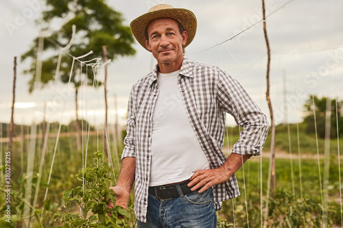 Cuadros en Lienzo Happy farmer standing on green plantation
