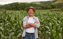 Confident Mature Farmer In Agricultural Field