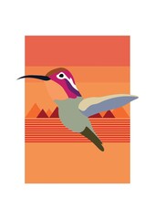 Canvas Print - Humming bird.