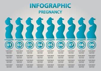 Canvas Print - Pregnancy infographic