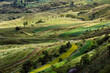 © zheng long/Stocksy - farmland in the valley