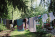 © Chelsea Victoria/Stocksy - Clothes drying on a line