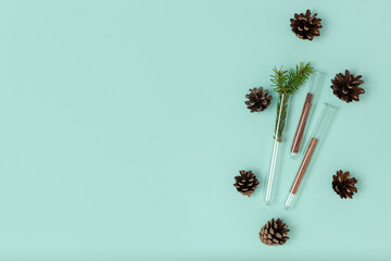 Wall Mural - Christmas composition of test tubes, fir cones and cinnamon on a mint background with copy space. Top view, flat lay. Medical New Year concept.