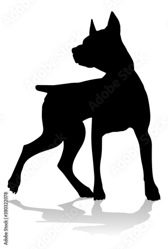 A detailed animal silhouett...