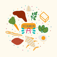 Vitamin A Containing Foods: Liver, Spinach, Parsley, Butter, Eggs, Eel, Tuna, Sweet Potato, Carrot In Round Composition. Beta-carotene Foods Hand Drawn Vector Illustration.
