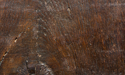 Natural brown oak wood background texture