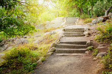 Forest Stone Stairs, Outdoors Environment