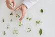 © Tetra Images - Close up of man's hand preparing plants in laboratory