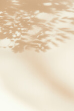 Abstract Natural Background Of Leaves Shadows Falling On White Wall, Beige Monochrome Backdrop For Blogging