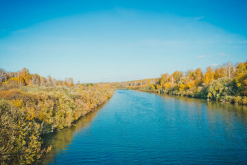 Wall Mural - The river surrounded by trees 