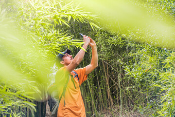 Young happy traveler hiking with backpack on a beautiful forest at evening and making photos. Travel and adventure concept. Young people hiking in countryside. Wild and freedom feeling. 