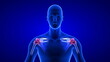 © m3ron - Shoulders Pain close-up illustration - front view. Blue Human Anatomy Body 3D Scan render on blue background