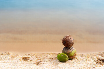 Coconut sculpture lays on the sand of blurred water.