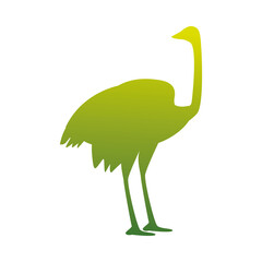 Poster - wild ostrich animal green silhouette nature icon