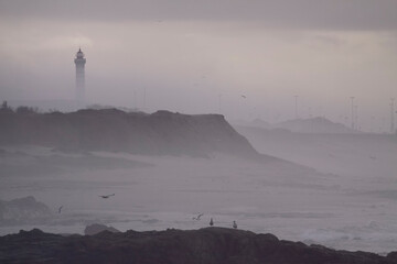 Wall Mural - Late Autumn seascape.