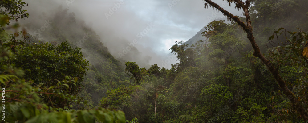 Cloud Forest in Peru, panoramic view of the tropical jungle on the northeast slope of the Andean mountain range. - obrazy, fototapety, plakaty 