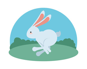 Sticker - little rabbit jumping easter in the camp