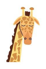 Sticker - wild african giraffe head nature icon