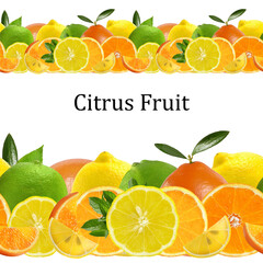 Wall Mural - citrus pattern - lemons and oranges on white