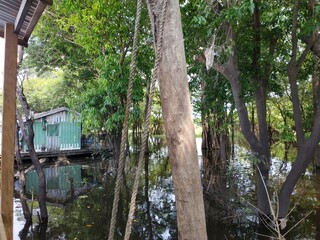 Amazon, Brazil